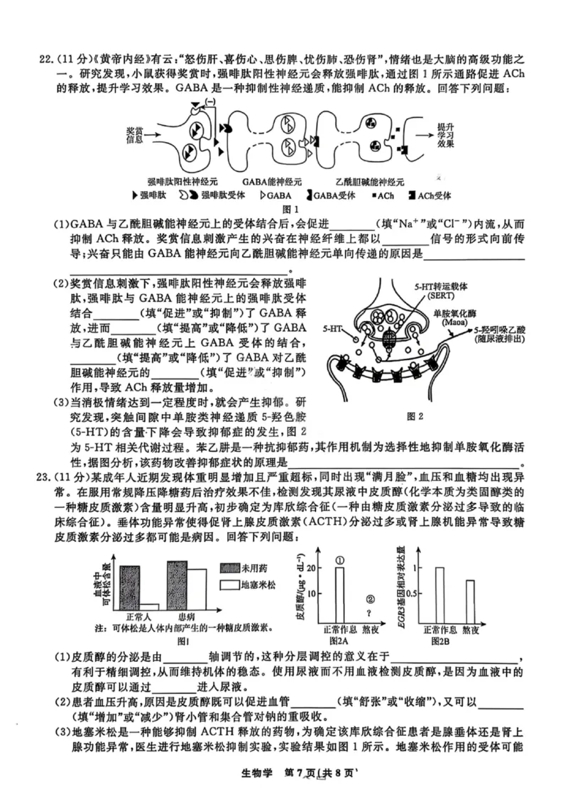生物试卷-辽宁名校联盟2026届高三年级上学期期末质量检测(1)_2026年1月_260116辽宁名校联盟2026年1月高三上期末联考质量检测（全科）