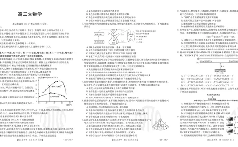 广东金太阳高三上(9月联考)-生物试题+答案(1)_2023年10月_01每日更新_2号_2024届广东高三金太阳联考9月（24-34C）