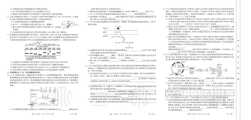 广东金太阳高三上(9月联考)-生物试题+答案(1)_2023年10月_01每日更新_2号_2024届广东高三金太阳联考9月（24-34C）