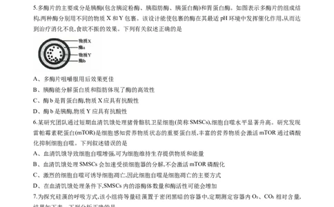 重庆市西南大学附属中学2025-2026学年高三上学期10月月考生物试卷（无答案）_2025年10月_251008重庆西南大学附属中学2026届高三上学期10月月考