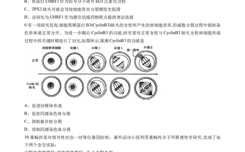 重庆市西南大学附属中学2025-2026学年高三上学期10月月考生物试卷（无答案）_2025年10月_251008重庆西南大学附属中学2026届高三上学期10月月考