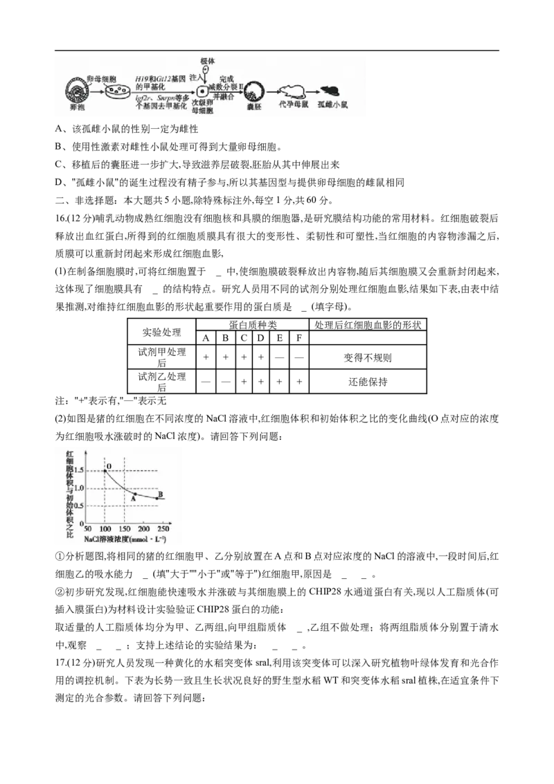 重庆市西南大学附属中学2025-2026学年高三上学期10月月考生物试卷（无答案）_2025年10月_251008重庆西南大学附属中学2026届高三上学期10月月考