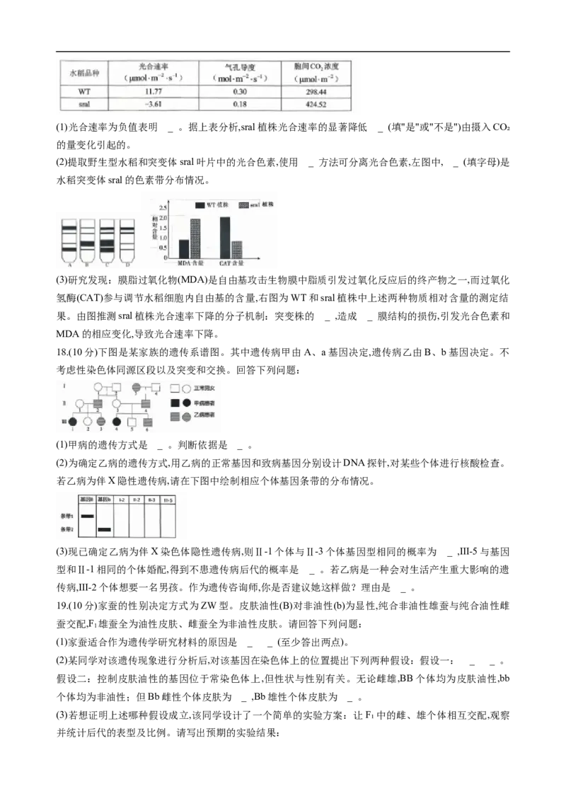 重庆市西南大学附属中学2025-2026学年高三上学期10月月考生物试卷（无答案）_2025年10月_251008重庆西南大学附属中学2026届高三上学期10月月考