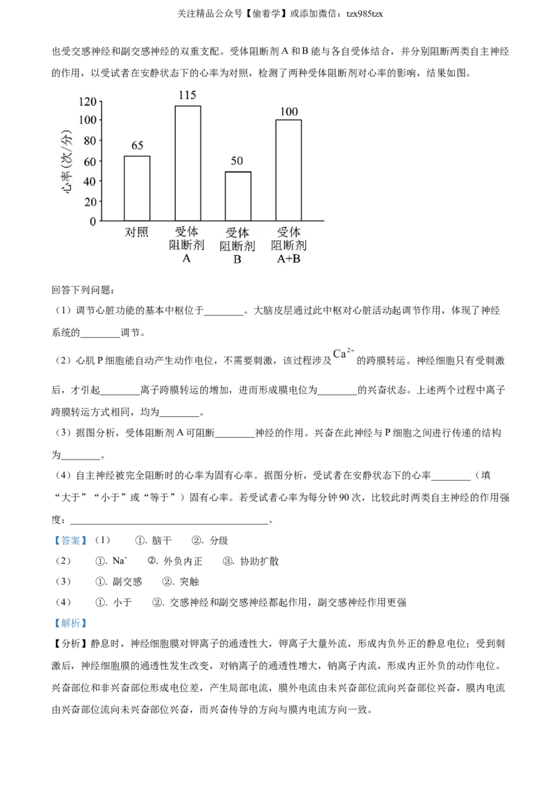 精品解析：2024年新课标高考真题河北生物试卷（解析版）_高考真题全网收集_生物学_精品解析：2024年新高考河北卷生物高考真题解析（参考版）