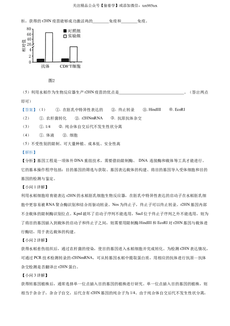 精品解析：2024年新课标高考真题河北生物试卷（解析版）_高考真题全网收集_生物学_精品解析：2024年新高考河北卷生物高考真题解析（参考版）