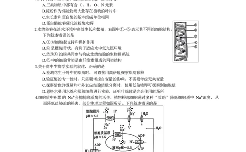 镇江市2025~2026学年第一学期高三期初监测生物试题（有答案）_2025年9月_250918江苏省镇江市2025~2026学年第一学期高三期初监测（全科）