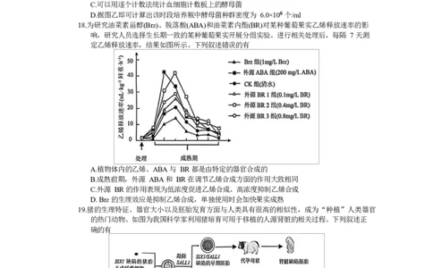 镇江市2025~2026学年第一学期高三期初监测生物试题（有答案）_2025年9月_250918江苏省镇江市2025~2026学年第一学期高三期初监测（全科）
