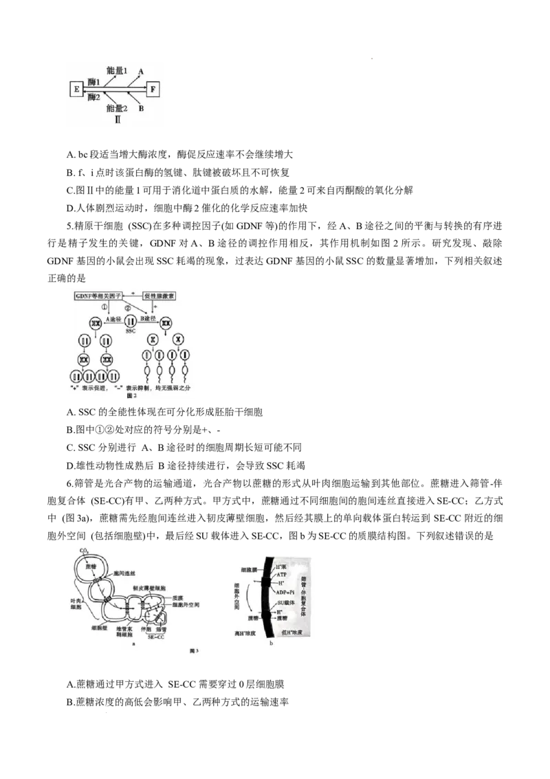 重庆巴蜀中学2026届高三9月适应性月考（二）生物试卷（含答案）_2025年9月_250927重庆巴蜀中学2026届高三9月高考适应性月考卷（二）（全科）