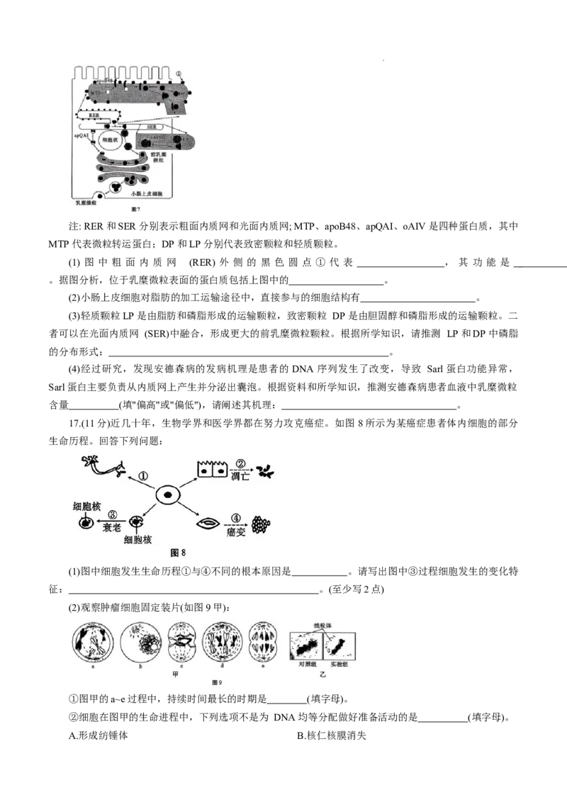 重庆巴蜀中学2026届高三9月适应性月考（二）生物试卷（含答案）_2025年9月_250927重庆巴蜀中学2026届高三9月高考适应性月考卷（二）（全科）