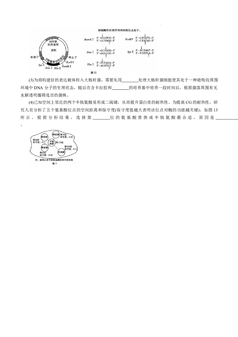 重庆巴蜀中学2026届高三9月适应性月考（二）生物试卷（含答案）_2025年9月_250927重庆巴蜀中学2026届高三9月高考适应性月考卷（二）（全科）