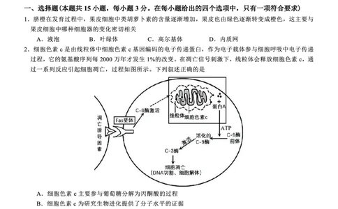 高2025届2024-2025学年（下）高考模拟考试（二）生物_2025年5月_250527重庆市育才中学高2025届2024-2025学年（下）高考模拟考试（二）（全科）
