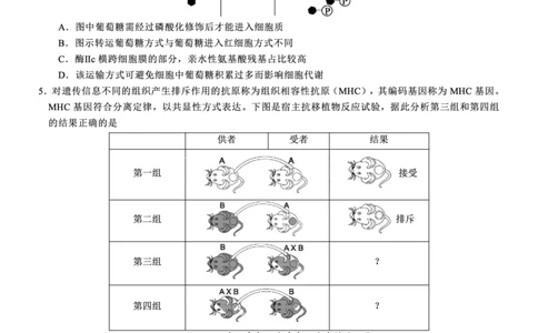高2025届2024-2025学年（下）高考模拟考试（二）生物_2025年5月_250527重庆市育才中学高2025届2024-2025学年（下）高考模拟考试（二）（全科）