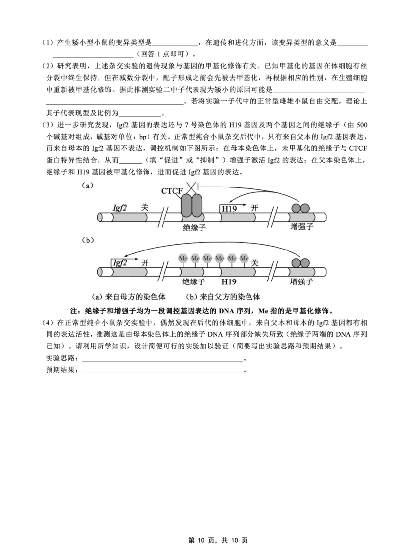 高2025届2024-2025学年（下）高考模拟考试（二）生物_2025年5月_250527重庆市育才中学高2025届2024-2025学年（下）高考模拟考试（二）（全科）