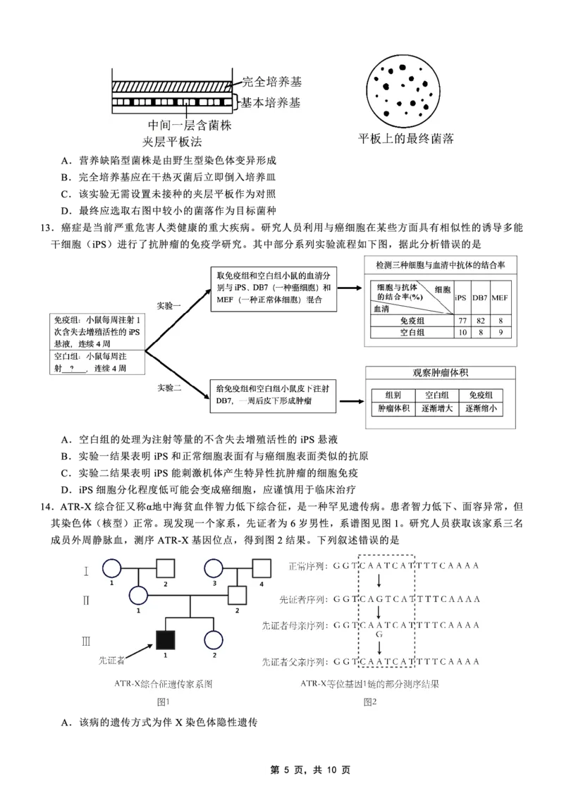 高2025届2024-2025学年（下）高考模拟考试（二）生物_2025年5月_250527重庆市育才中学高2025届2024-2025学年（下）高考模拟考试（二）（全科）