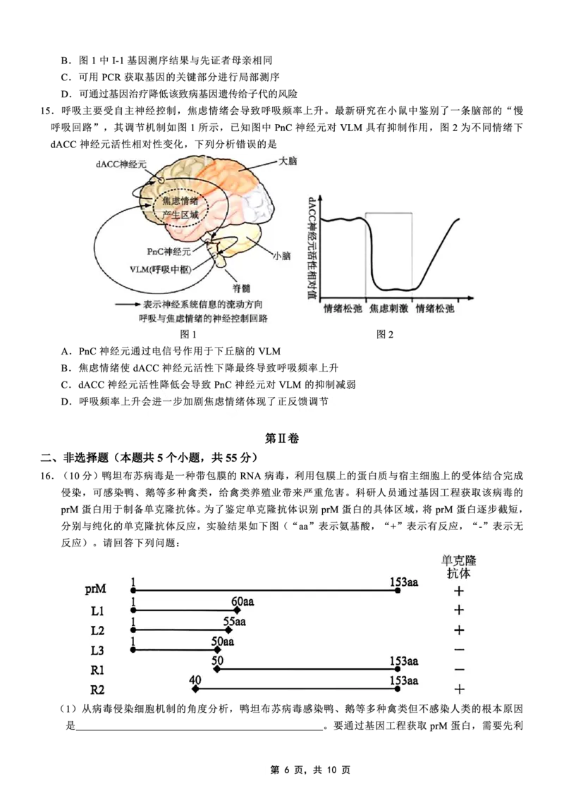 高2025届2024-2025学年（下）高考模拟考试（二）生物_2025年5月_250527重庆市育才中学高2025届2024-2025学年（下）高考模拟考试（二）（全科）