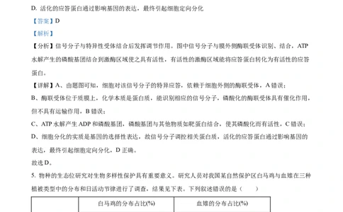 2024年新课标高考真题安徽卷生物试卷（解析版）_高考真题全网收集_生物学_2024年新高考安徽卷生物高考真题解析（参考版）
