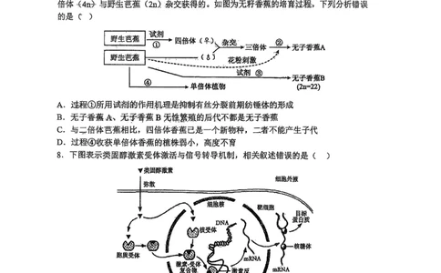 辽宁省鞍山市第一中学2025届高三下学期八模考试生物_2025年5月_250529辽宁省鞍山市第一中学2025届高三下学期八模考试（全科）