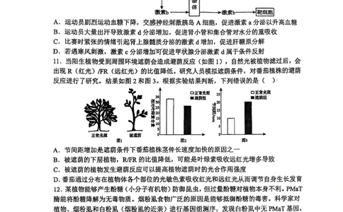 辽宁省鞍山市第一中学2025届高三下学期八模考试生物_2025年5月_250529辽宁省鞍山市第一中学2025届高三下学期八模考试（全科）