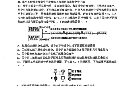辽宁省鞍山市第一中学2025届高三下学期八模考试生物_2025年5月_250529辽宁省鞍山市第一中学2025届高三下学期八模考试（全科）
