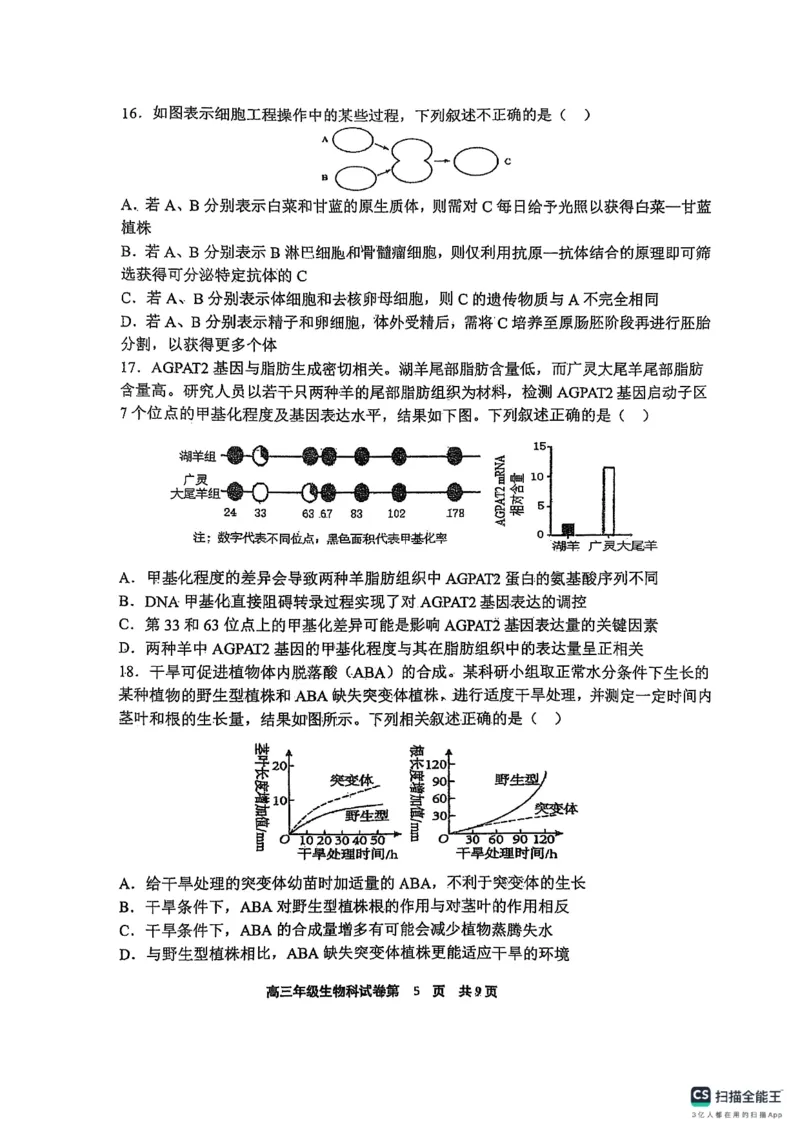 辽宁省鞍山市第一中学2025届高三下学期八模考试生物_2025年5月_250529辽宁省鞍山市第一中学2025届高三下学期八模考试（全科）