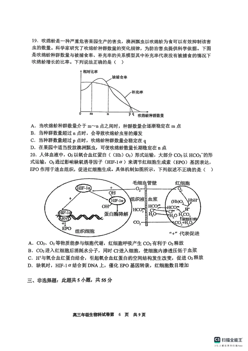 辽宁省鞍山市第一中学2025届高三下学期八模考试生物_2025年5月_250529辽宁省鞍山市第一中学2025届高三下学期八模考试（全科）