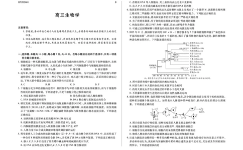 生物学B卷高三小高考(三)(1)_2026年1月_260114河南省多校小高考2025-2026学年高三上学期素质评价（三）（全）_河南省多校小高考2025-2026学年高三上学期素质评价（三）生物B卷试题