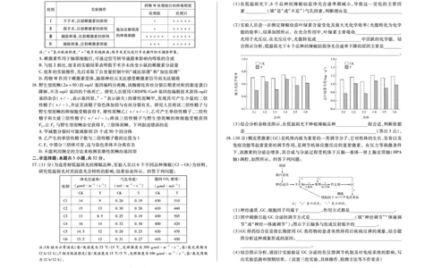 生物学B卷高三小高考(三)(1)_2026年1月_260114河南省多校小高考2025-2026学年高三上学期素质评价（三）（全）_河南省多校小高考2025-2026学年高三上学期素质评价（三）生物B卷试题