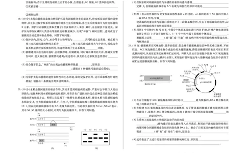 生物学B卷高三小高考(三)(1)_2026年1月_260114河南省多校小高考2025-2026学年高三上学期素质评价（三）（全）_河南省多校小高考2025-2026学年高三上学期素质评价（三）生物B卷试题