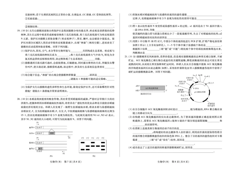 生物学B卷高三小高考(三)(1)_2026年1月_260114河南省多校小高考2025-2026学年高三上学期素质评价（三）（全）_河南省多校小高考2025-2026学年高三上学期素质评价（三）生物B卷试题