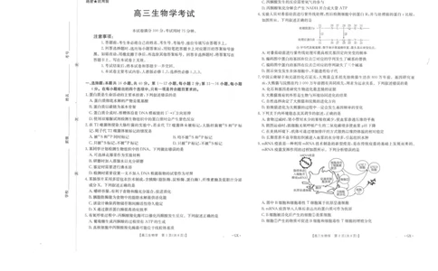高三生物_2025年9月_250907广西金太阳9月高三联考（1002C）_生物