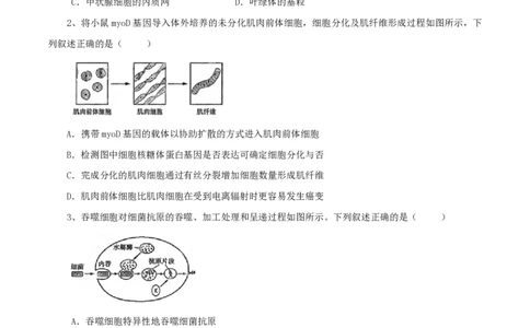 2013年高考生物试卷（山东）（空白卷）_生物历年高考真题_新&middot;PDF版2008-2025&middot;高考生物真题_生物（按试卷类型分类）2008-2025_自主命题卷&middot;生物（2008-2025）