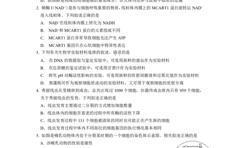 南京六校联合体高三上(8月调研)-生物试题+答案(1)_2023年9月_029月合集_2024届江苏省南京六校联合体高三上学期8月调研