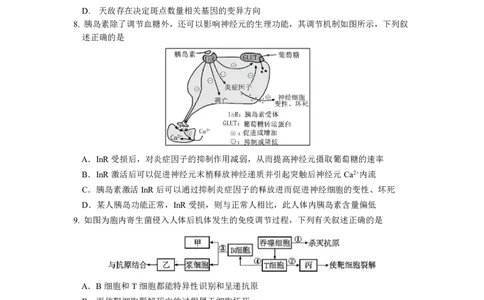 南京六校联合体高三上(8月调研)-生物试题+答案(1)_2023年9月_029月合集_2024届江苏省南京六校联合体高三上学期8月调研