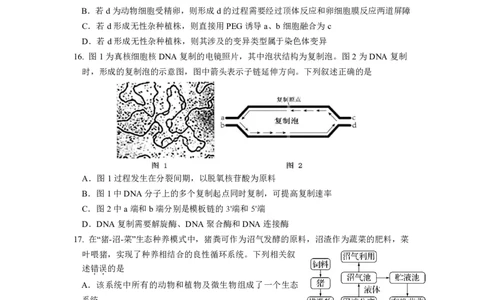 南京六校联合体高三上(8月调研)-生物试题+答案(1)_2023年9月_029月合集_2024届江苏省南京六校联合体高三上学期8月调研