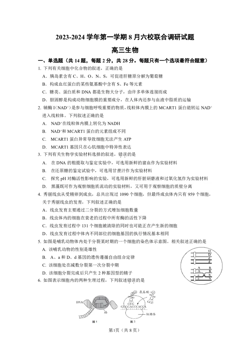 南京六校联合体高三上(8月调研)-生物试题+答案(1)_2023年9月_029月合集_2024届江苏省南京六校联合体高三上学期8月调研