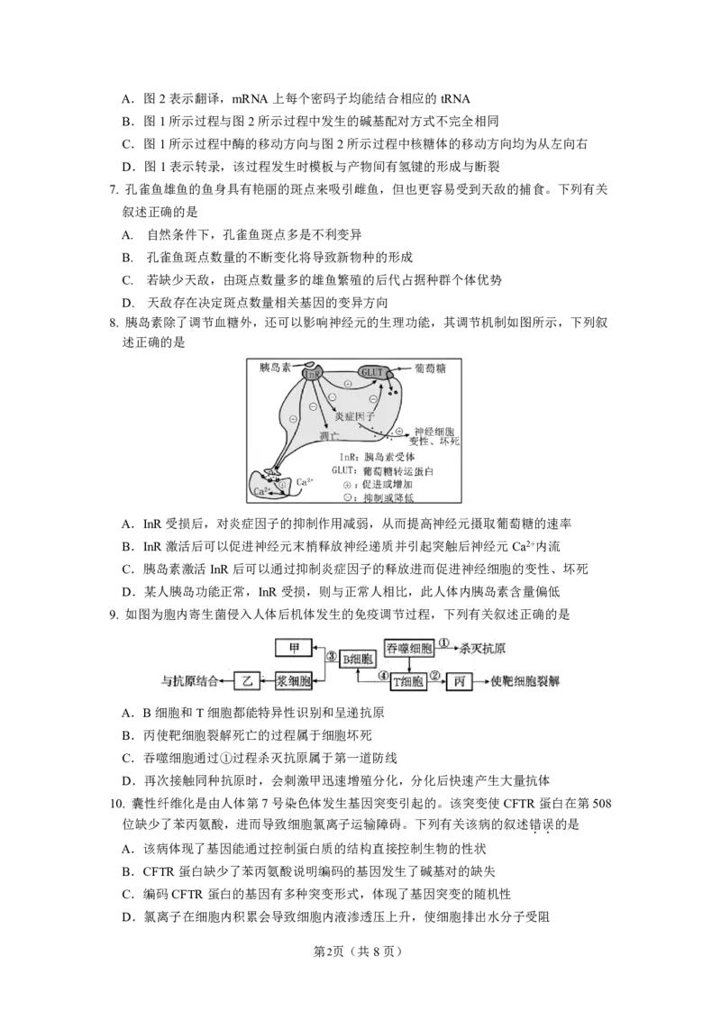 南京六校联合体高三上(8月调研)-生物试题+答案(1)_2023年9月_029月合集_2024届江苏省南京六校联合体高三上学期8月调研