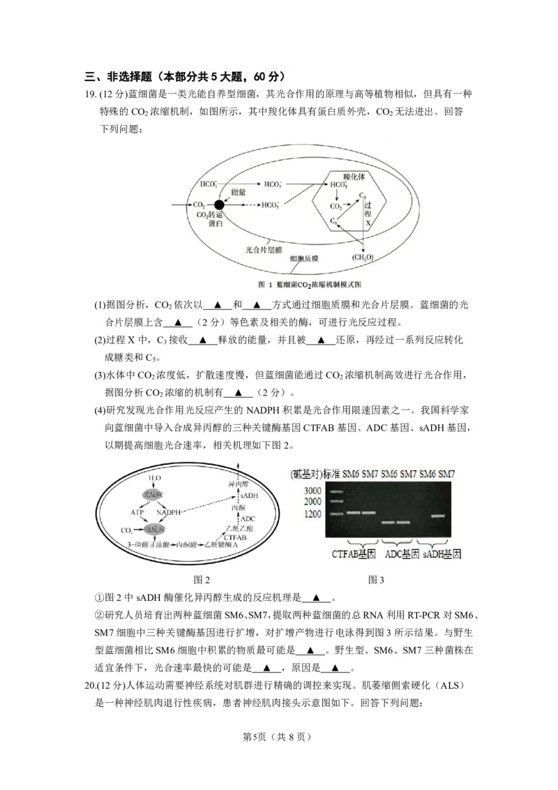 南京六校联合体高三上(8月调研)-生物试题+答案(1)_2023年9月_029月合集_2024届江苏省南京六校联合体高三上学期8月调研