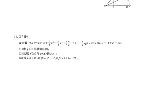 高三数学_2025年11月_251125福建省金太阳高三11月第一学期半期联考（全科）（26-10-105C）_1209215425_试卷