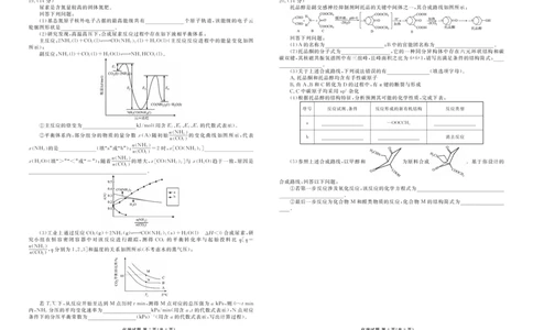 高三化学正文(2026届高三年级1月份适应性测试)(1)_2026年1月_260129衡水金卷2026届高三年级1月份适应性测试（全科）_高三化学电子文件（2026届高三年级1月份适应性测试)