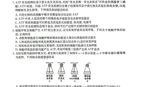 2023年齐市地区普高联谊校高三第一次月考生物(1)_2023年9月_029月合集_2024届黑龙江省齐齐哈尔市地区普高联谊校高三上学期9月月考