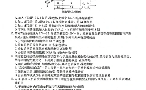2023年齐市地区普高联谊校高三第一次月考生物(1)_2023年9月_029月合集_2024届黑龙江省齐齐哈尔市地区普高联谊校高三上学期9月月考