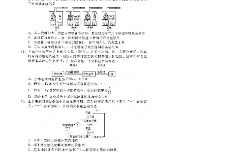 NT20名校联合体高三年级1月质检考试生物(1)_2026年1月_260108河北省NT20名校联合体高三年级1月质检考试（全科）