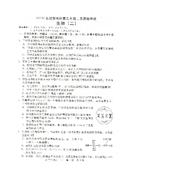 NT20名校联合体高三年级1月质检考试生物(1)_2026年1月_260108河北省NT20名校联合体高三年级1月质检考试（全科）