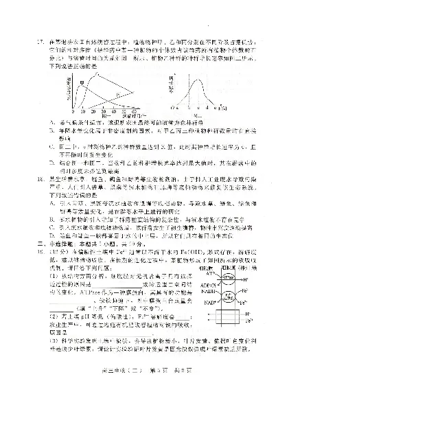 NT20名校联合体高三年级1月质检考试生物(1)_2026年1月_260108河北省NT20名校联合体高三年级1月质检考试（全科）