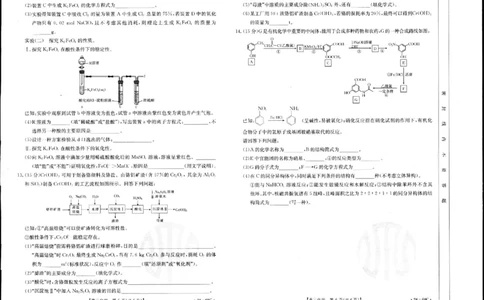 化学(1)_2023年10月_0210月合集_2024届江苏广东福建高三金太阳10月百万大联考（24-68C）_2024届江苏广东福建高三金太阳10月百万大联考（24-68C）化学