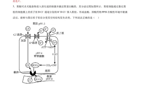 生物（江苏卷）（全解全析）_2024届新高三开学摸底考试卷_生物-2024届新高三开学摸底考试卷_生物-2024届新高三开学摸底考试卷（江苏卷）