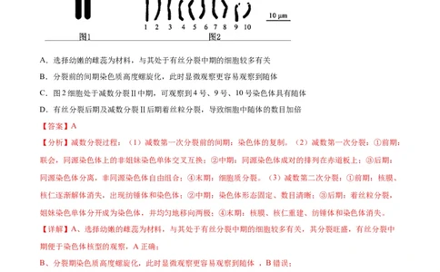 生物（江苏卷）（全解全析）_2024届新高三开学摸底考试卷_生物-2024届新高三开学摸底考试卷_生物-2024届新高三开学摸底考试卷（江苏卷）