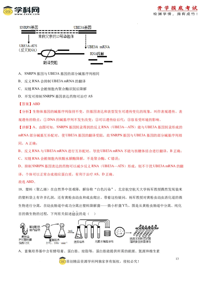 生物（江苏卷）（全解全析）_2024届新高三开学摸底考试卷_生物-2024届新高三开学摸底考试卷_生物-2024届新高三开学摸底考试卷（江苏卷）