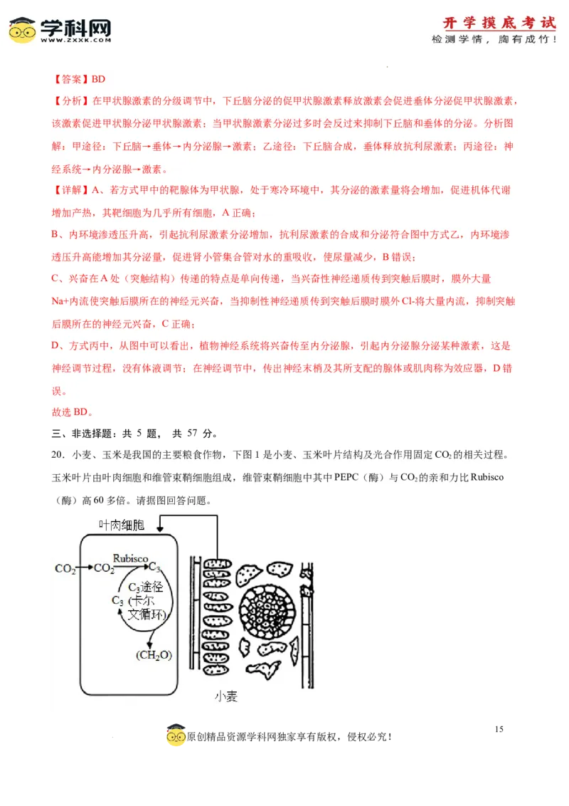 生物（江苏卷）（全解全析）_2024届新高三开学摸底考试卷_生物-2024届新高三开学摸底考试卷_生物-2024届新高三开学摸底考试卷（江苏卷）