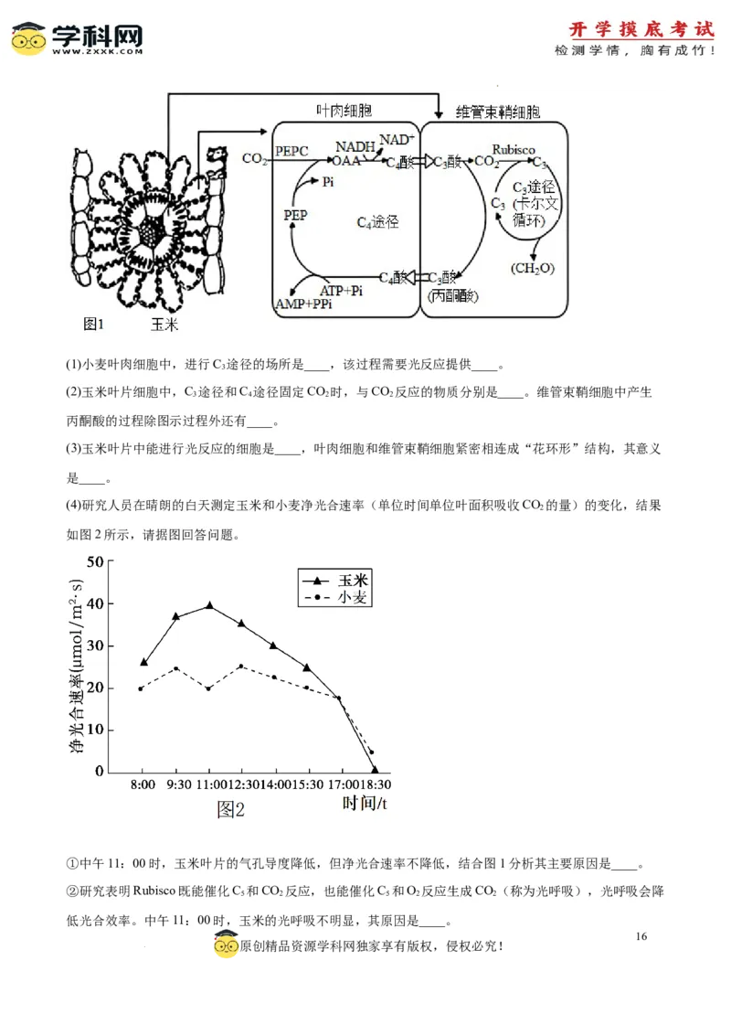 生物（江苏卷）（全解全析）_2024届新高三开学摸底考试卷_生物-2024届新高三开学摸底考试卷_生物-2024届新高三开学摸底考试卷（江苏卷）
